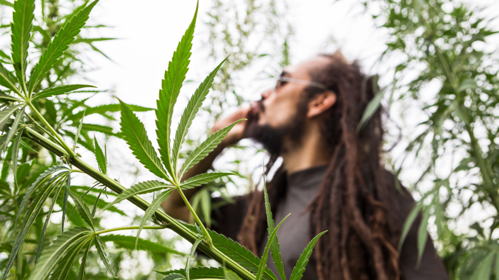 Wellness Rituals from Jamaican Culture Beyond Ganja