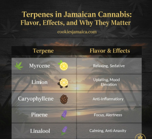 Terpene chart showing common cannabis aromas and effects