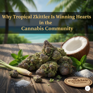 THCA flower on a rustic Jamaican wood table with herbs and coconut accents