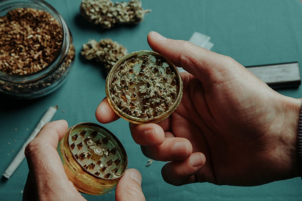 Shredded Cannabis with the buds.