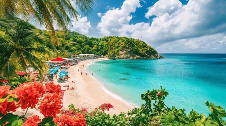 Caribbean tropical landscape representing nature-driven wellness and balanced island living.