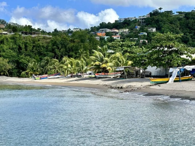 Authentic Caribbean island lifestyle showing relaxed culture and community living.